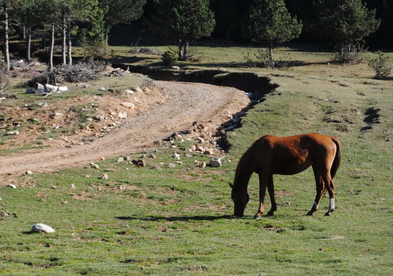 Apartamento Con Encanto En El Pirineo La Pobla de Lillet Eksteriør billede